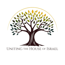 UHI Logo Color transparent