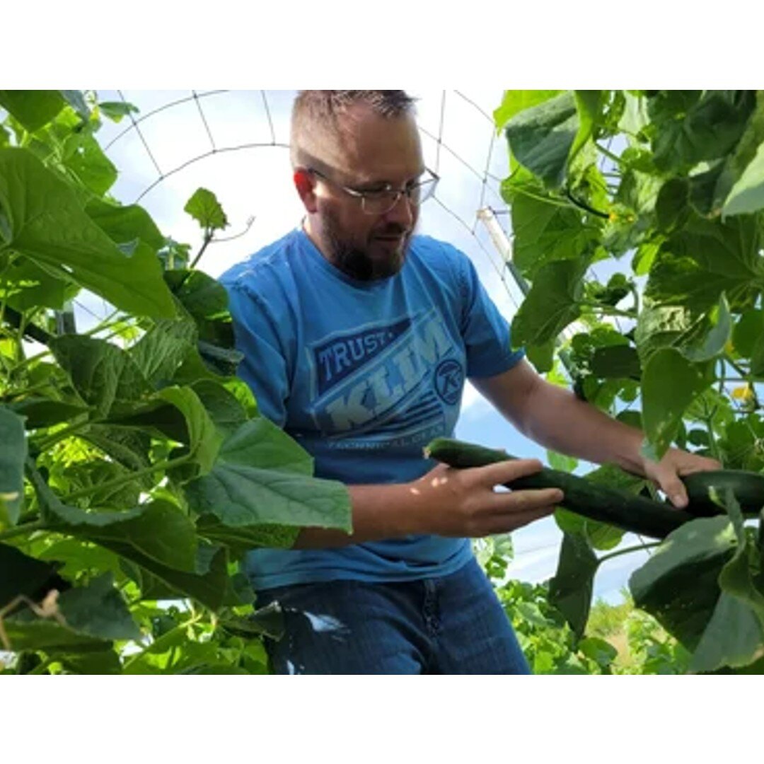 paul lancaster working in the sonhaven garden